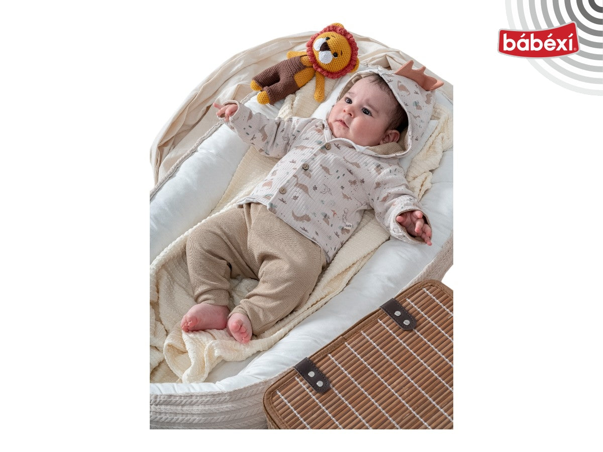 babexi Dinazor Hırkalı Takım 6 Ay,9 Ay,12 Ay Erkek